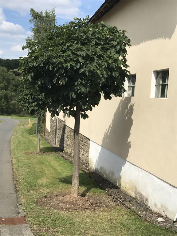 Ferienwohnung Schloessershof Borler Exterior foto